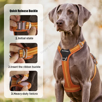 Heavy Duty Dog Harness Set 1