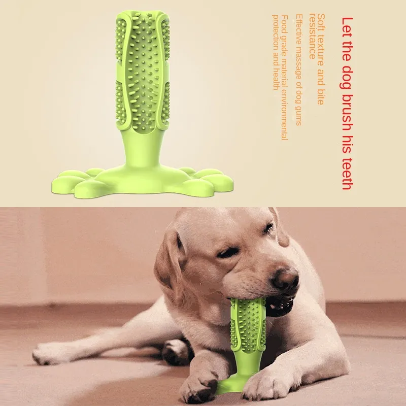 Dog Oral Cleaning Toys 1