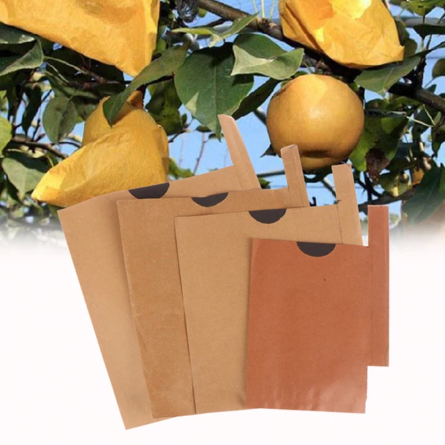 100Db Gyümölcsvédelmi Papírzsákok A Loquat Mango Szőlő Anti Rovar Madarak Tasak Vízálló Kártevőirtó Kert