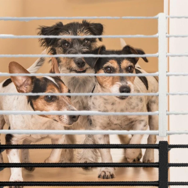 Barrière de sécurité chien barrière autoportante longueur réglable