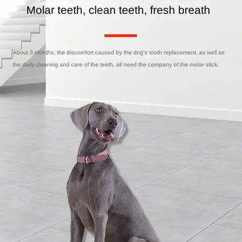 Dog Snacks Air-dried Cow Hooves Beef Throat Crispy Beef Stick Bones That Are Resistant Chewing Grinding Teeth Dog Snacks 4