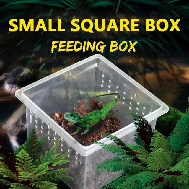 Transparent  Portable Reptile Insect Breeding Box Small Pet Observation Container Best Seller Spider Lizard Keeping Container 3
