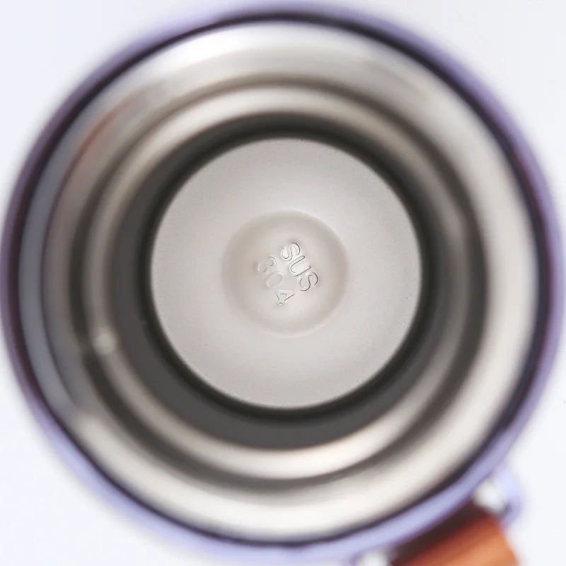 Thermos Alimentaire Portable à Double Couche en Acier Inoxydable