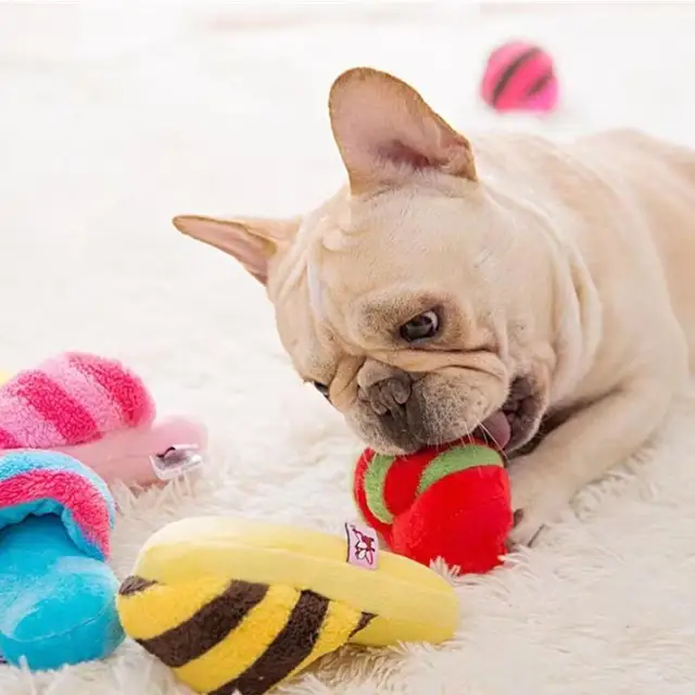 Pet Toys Squeaker Plush Slipper Shaped Puppy Dog Sound Chew Play Toys for Dog Cats Funny Dog Products Outdoor Training Toy 2