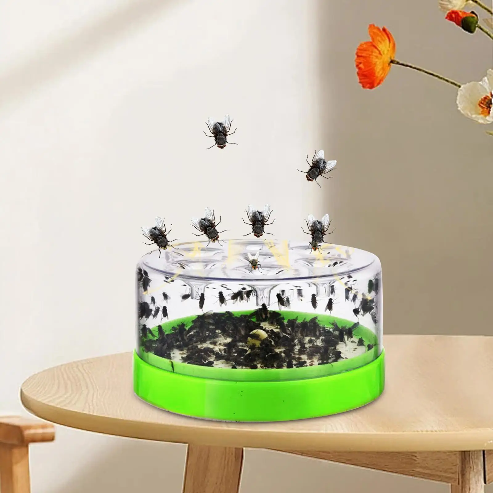 Fly Repellence Fly Catching Cage for Park Kitchen Indoor Outdoor