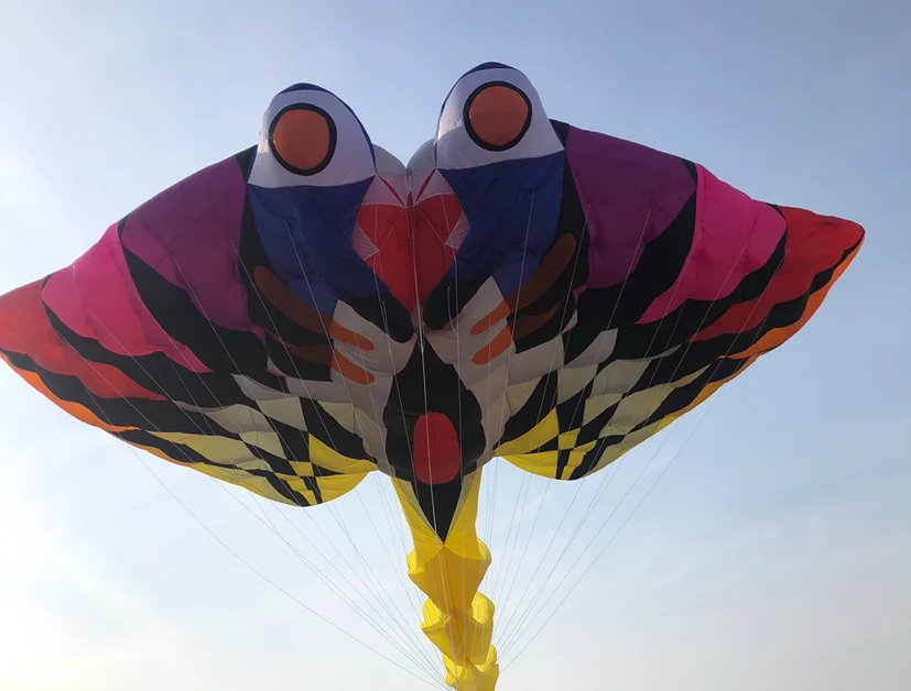 15m Ray Kite Large Kites Ripstop Cerf Volant Vlieger Big Kites For