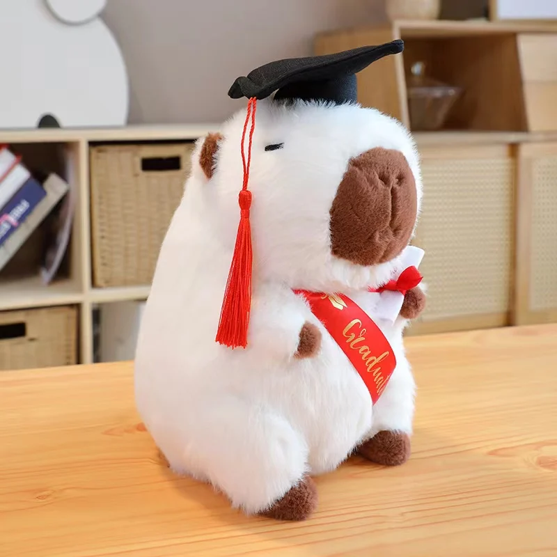 thumbnail image 1 of 2024 NUEVOS muñecos de peluche para graduados, doctor capibara, búho, oso de peluche, lindo muñeco de peluche, almohada de dibujos animados suave, regalo de graduación, 1 of 5