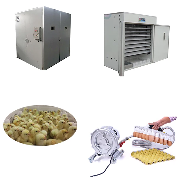 Automatic Incubator Tray Egg Feeding Machine