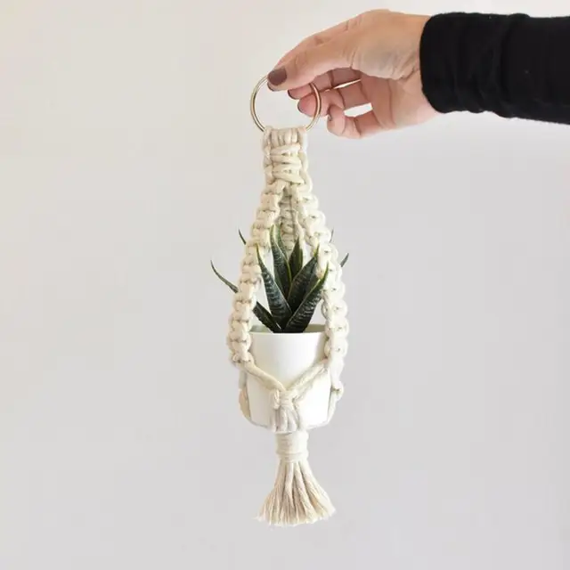 Air Plant Holder 05