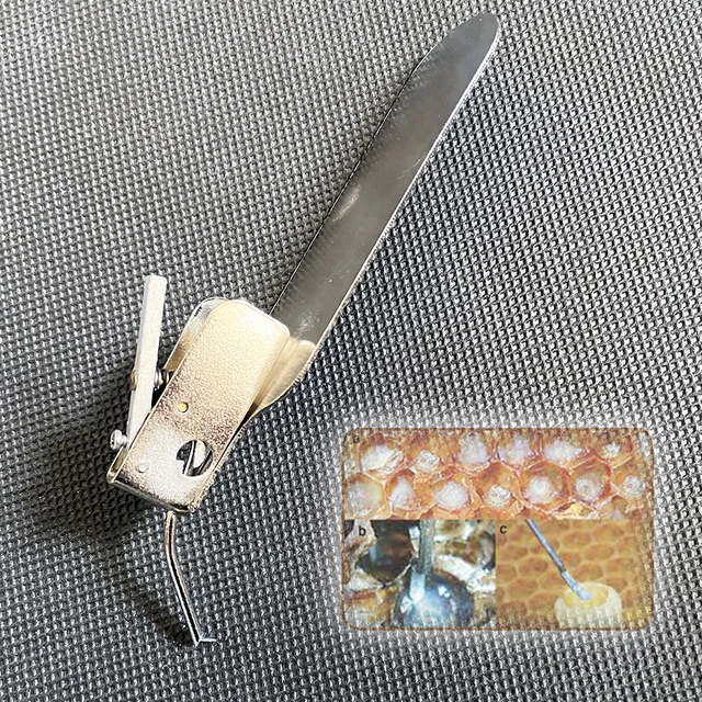 3 db Rozsdamentes Acél Méhész Királynő Tenyésztés Mozgó Tűtű Tű Mester Graft Lárvák Cella Hüvelykujj Ellenőrzött Ugró