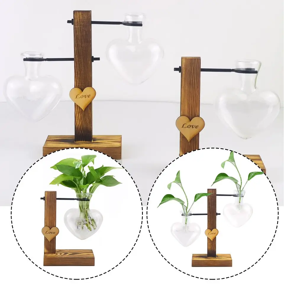 Jeu De 2 Vases Muraux En Verre Transparent Forme Cône - Pour Hydroponie, Décoration Intérieure, Fleurs Fraîches Ou Séchées - 5