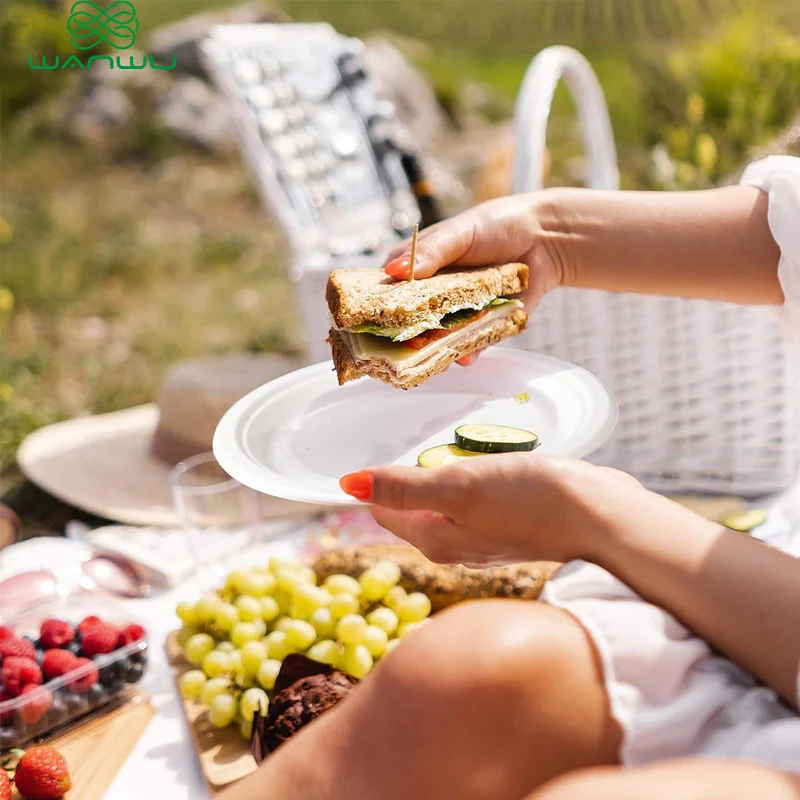 Disposable Paper Plate 50 PCS Heavy-duty, eco-friendly, biodegradable Bagasse Dinner and Lunch Plates