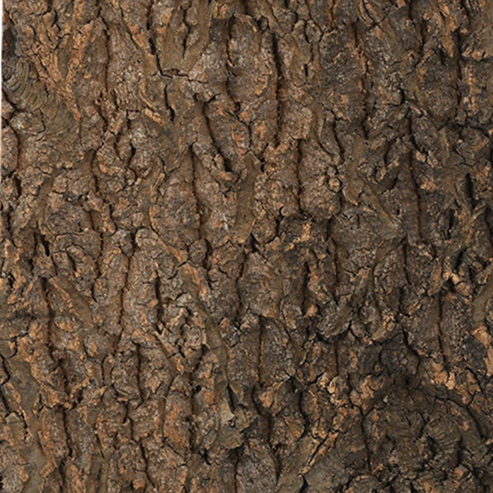 Reptile Bark Background 5