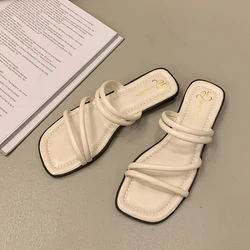 Women's Fashion Flat Bottom Flip Flops - Summer Beach Sandals with Fairy - Inspired Design - 38 (Beige)