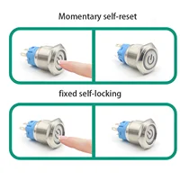 16mm 19mm 22mm  Metal Push Button Switch Momentary/Latching Flat Head Led Light Red Yellow Blue Green White 3V 12V 24V 220V - Image 6