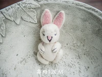 Newborn Photography Props for Baby Cute Animals Handmade Wool Doll Fotografia Accessory Studio Shooting Photo Props Accessories 6