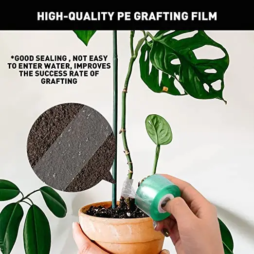 20/30/60/100mm Garden Grafting Tape Plant Repair Tape Grafting Film Plant Parenting Stretchable Transparent Film