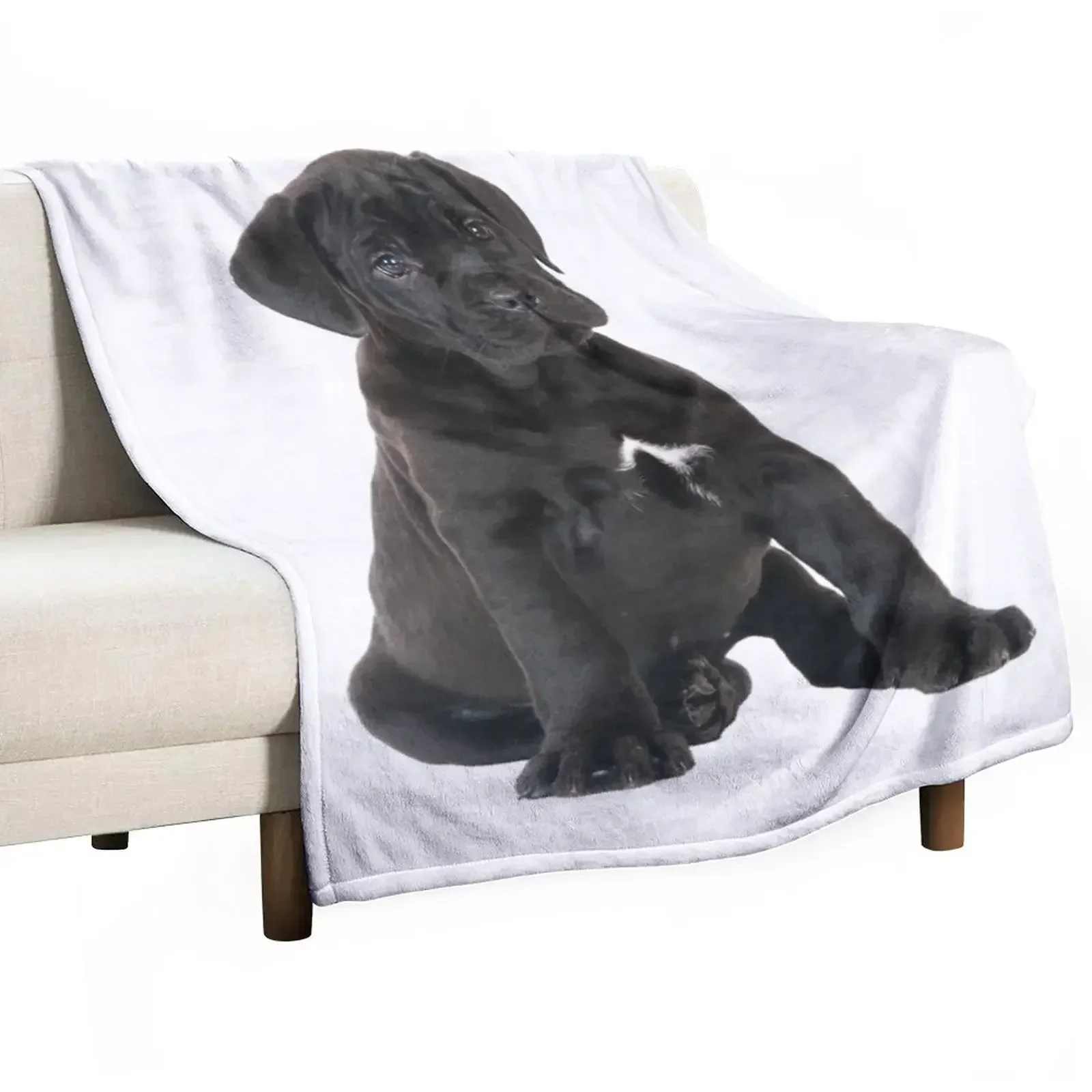 

Cane Corso Puppy Throw Blanket Cute Personalized Gift Blankets