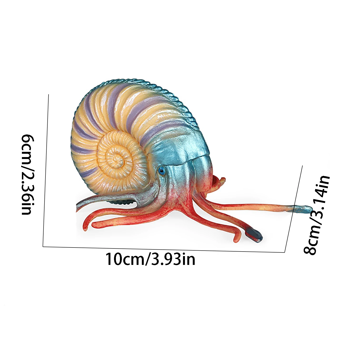 Marine animal model simulation toy Nautilus ornament children's toy figurine model early education 2
