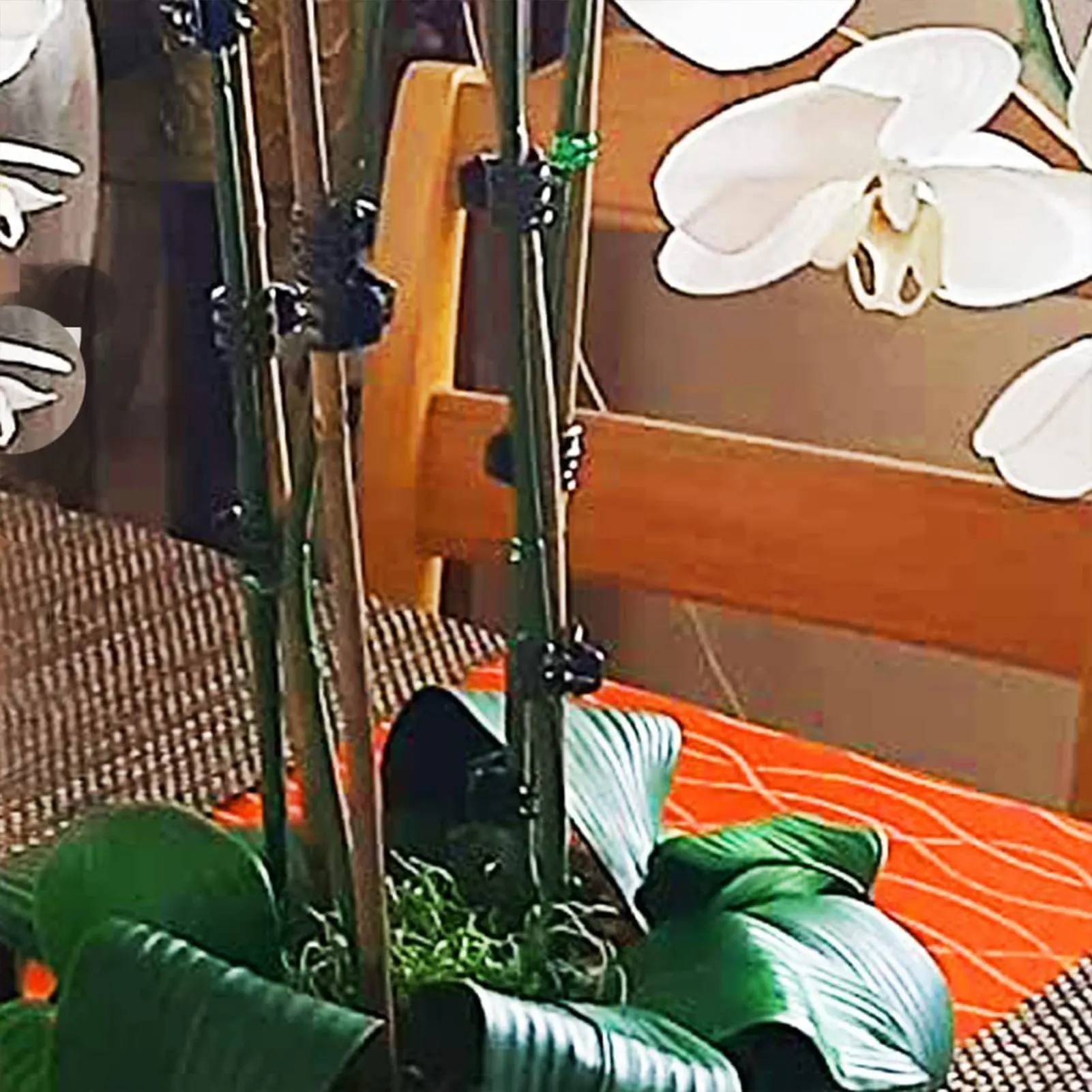 Plants Bamboo Stakes Poles 20 Pcs for Supporting Stems Vines