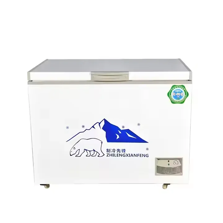 Freezer Deep Chest Freezer 1130*650*850 Various Specifications Factory Direct Refrigeration Equipment