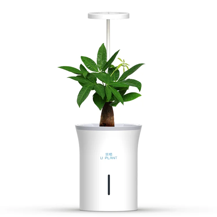 

With LED timing switch plant growth lamp self absorbent soil culture hydroponics planter pot