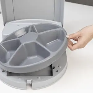 Petsafe feeder cat dog several pets automatic