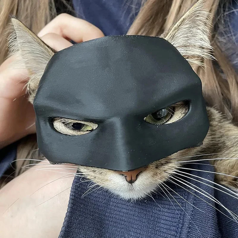 Cat Bat Mask Bat Cat Avenger Mask Cosplay Creative Black Cat Bat Mask for Halloween Cosplay Decorative Man Face