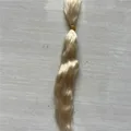 5. golden 1