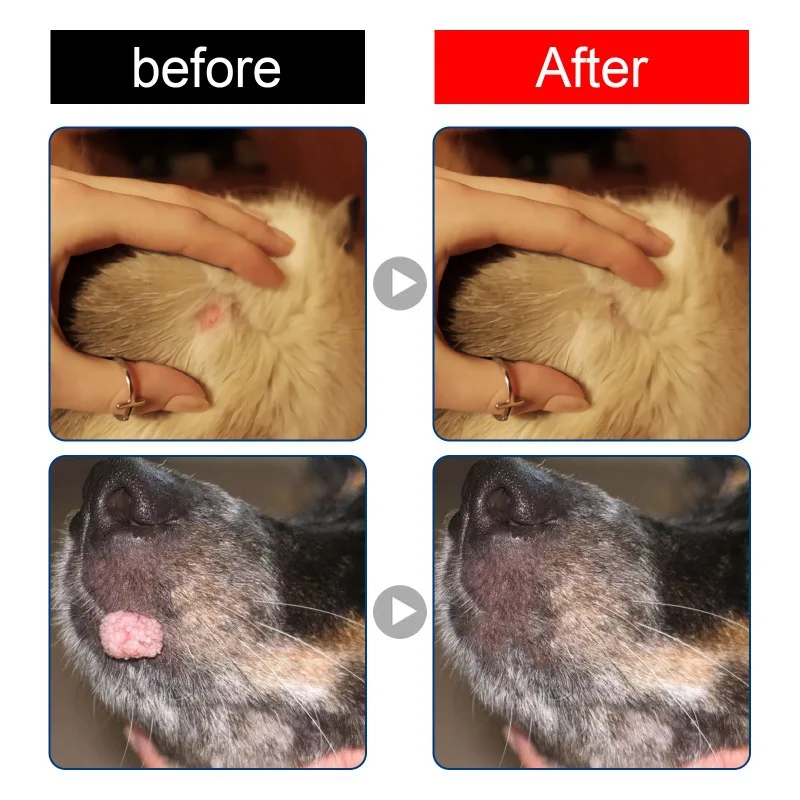 Pet Wart Liquid Pet Remove Meat Grains Corn Remove Sting Monkey Silk Flat, You Liquid Wart Lijing
