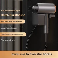 New Hotel And Hotel Hair Dryer 220V Wall Mounted High-Power Blue Light Negative Ion Hair Care Hair Dryer Without Punching Hole 1