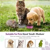 Folding Portable Silicone Dog Feeder Bowl 2 In 1 Pet Dispenser Outdoor Travel Dog Cat with Carabiner Bottle Food Water Container 3