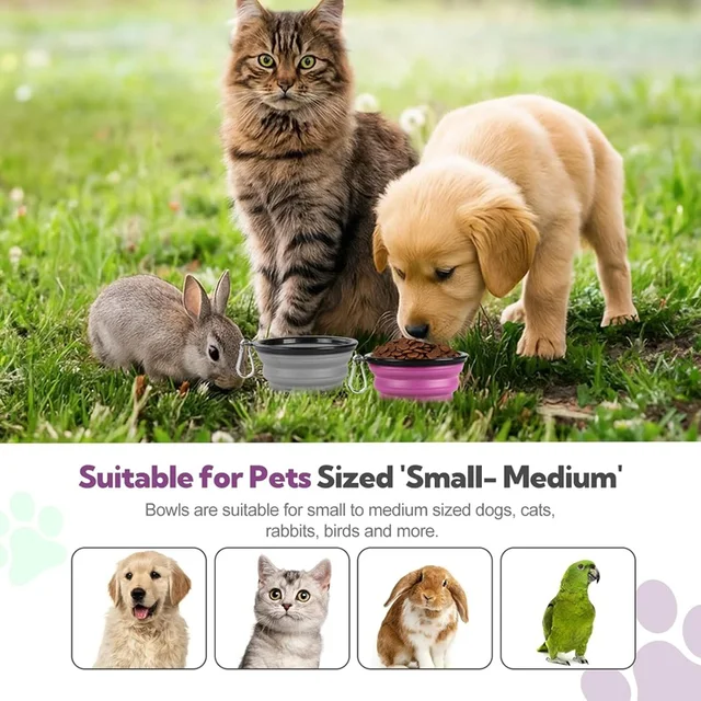 Folding Portable Silicone Dog Feeder Bowl 2 In 1 Pet Dispenser Outdoor Travel Dog Cat with Carabiner Bottle Food Water Container 3