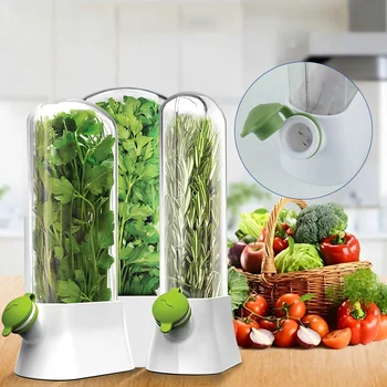 Cross-border Vanilla Vegetable Fresh-keeping Box Dust-proof Anti-pressure Environmental Protection Fresh-keeping Device Creative