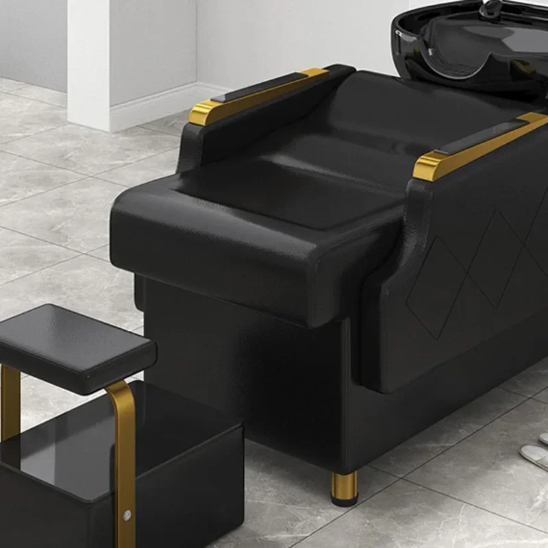 Рисунок 3 - Кресло для мойки и шампуня MQ5