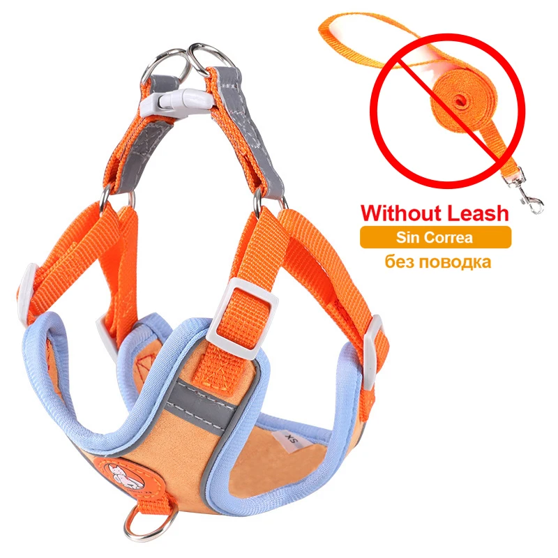 Orange No Leash