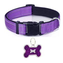 Reflective Adjustable Nylon Dog Collar with Soft Padding and Breathable Comfort - M (Purple collar)