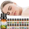 Flower Fruit Essential Oil Water-soluble Relieve Stress For humidifier aroma diffuser Fragrance Lamp Air Freshening Aromatherapy 1