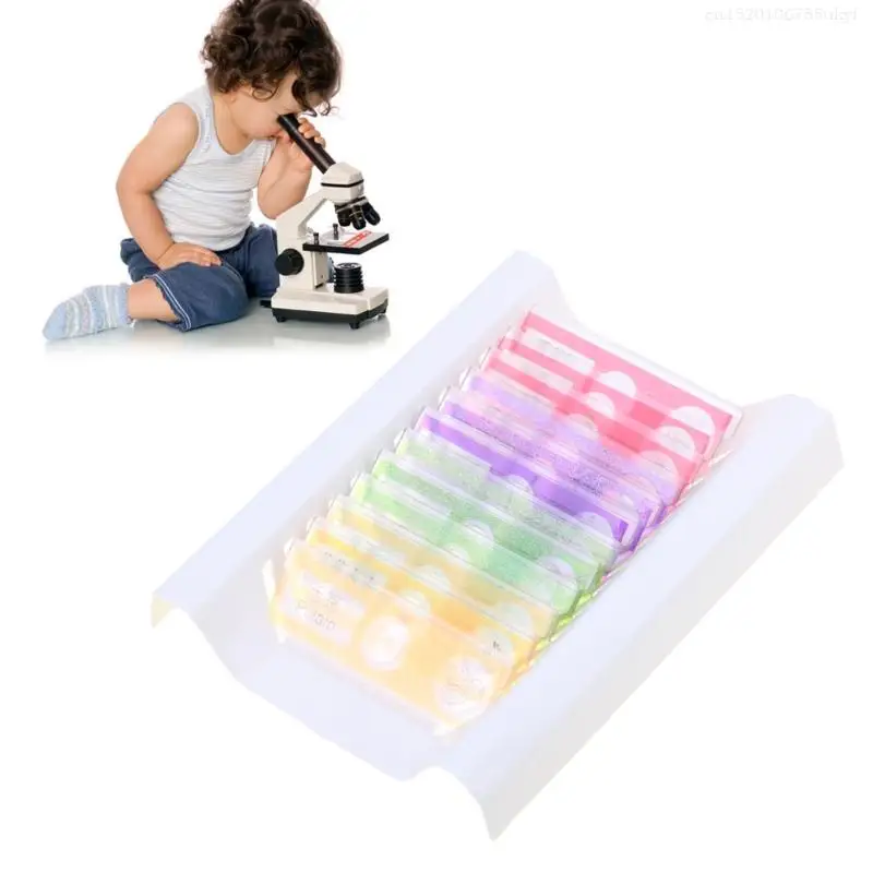 Plastic Prepared Microscope Slides Insect Biological Specimens Animal Plant Sample for Kids Science Educational Supplies F1FB