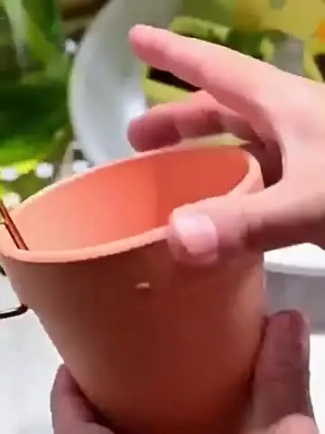 Lot De 5 Cintres En Terre Cuite Pour Pot De Fleurs En Acier Inoxydable Robuste Pour Intérieur Et Extérieur, Idéal Pour Les Amateurs De Jardinage