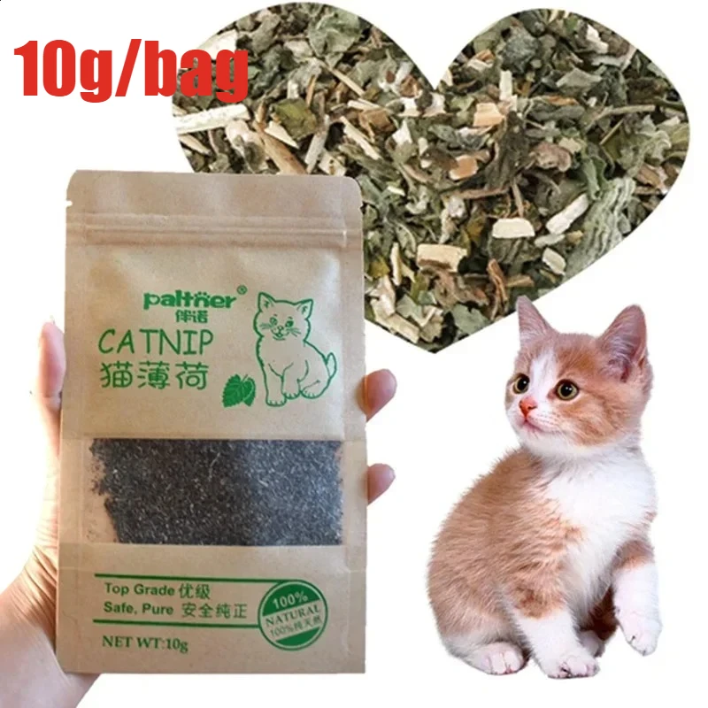 Catnip