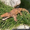 Realistic RC Crocodile for Pool Lake Toys for Kids Waterproof Remote Control Animal Children Gift  Electric Boats  Model 3