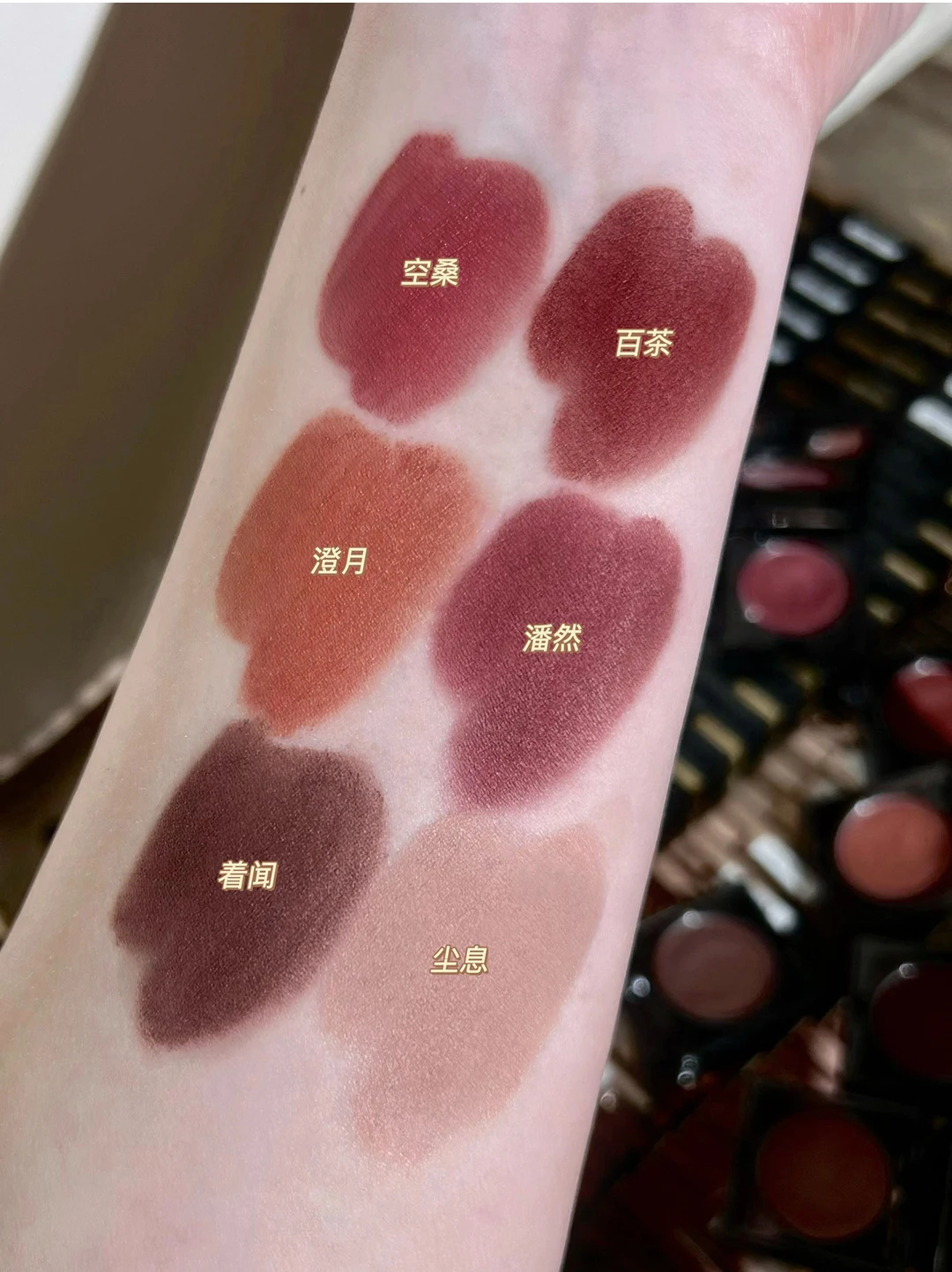 Description Picture 4 of itemCappuvini Small Square Multi-purpose Lip Mud Cheek Dual-use Misty Velvet Matte Powder Blusher Fair Price Makeup Cosmetics