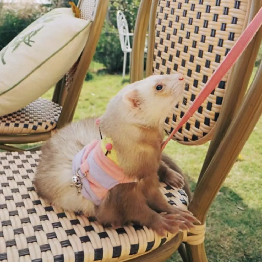 Cute Cartoon Hamster Vest Harness Escape Proof Breathable Ferret Walking Leash Adjustable Small Animal Walking Vest Training
