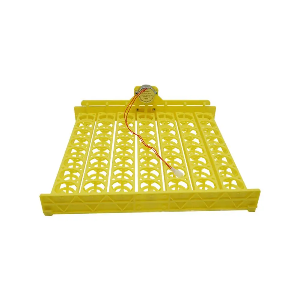 56 egg tray 110V