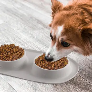 Dog Bowls With Mat Food Feeding Pet Bowl Dog Water Bowls Portable Foldable Dual Feeder Bowl For Small Medium Size Dogs Cats 5