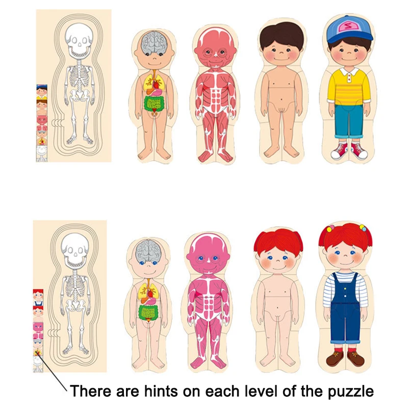 Montessori Wooden Toys Human Body Puzzles Organs Educational Wooden Jigsaw Boys Girls Anatomy Play Set Match Board Game Gifts 4