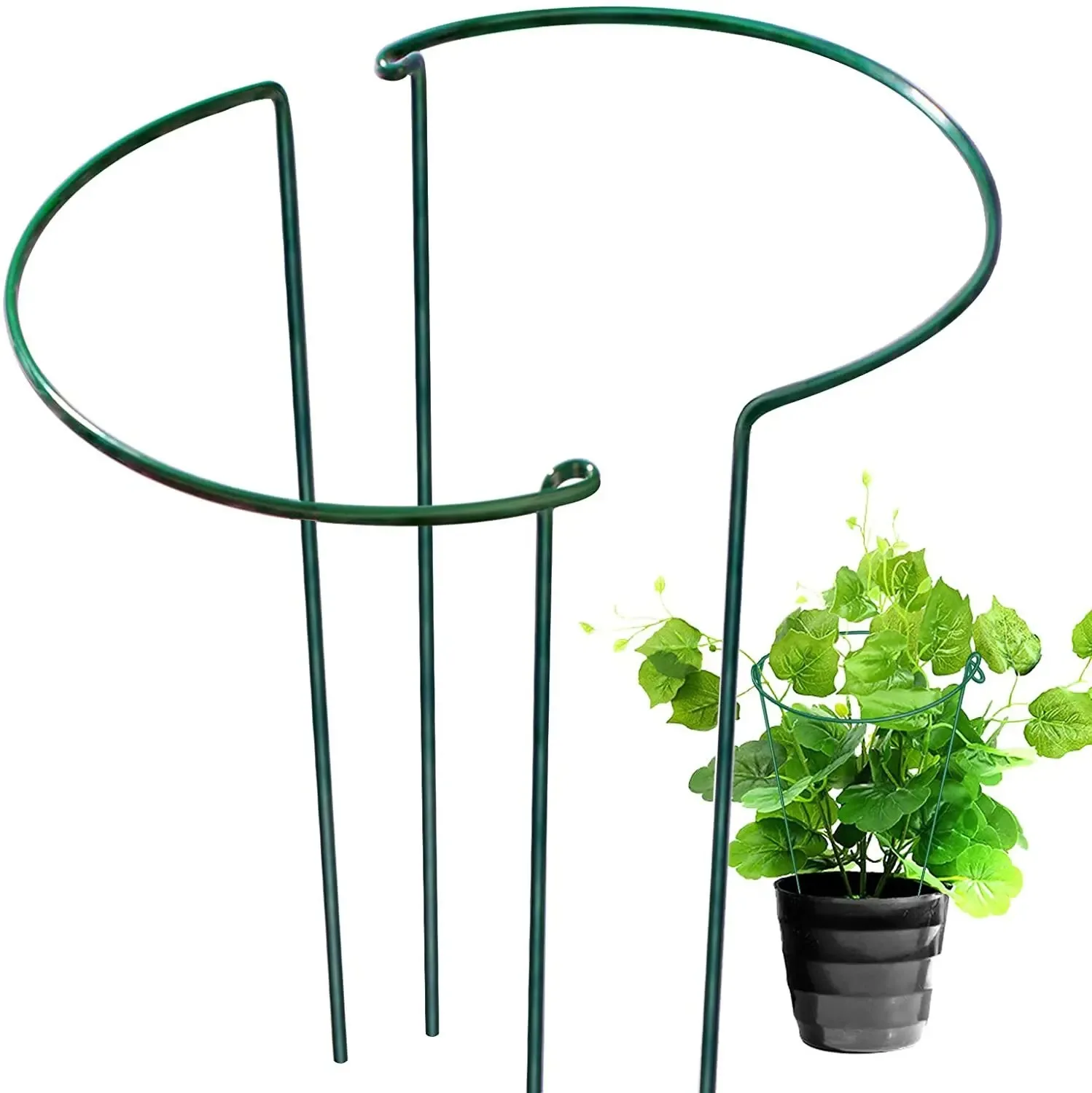 6 Stück Pflanzenstützstäbe, halbrunde Gartenpflanzenstäbe aus Metall, Käfige und Stützen für Pfingstrosen im Innenbereich, grüner Pflanzenstützring