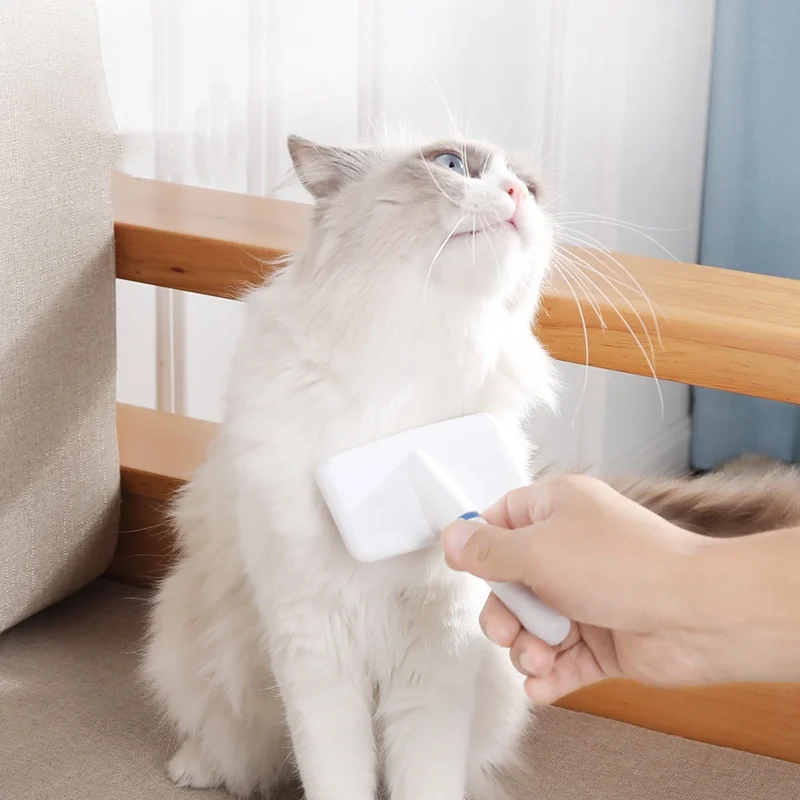 Slide image 41ae11657cb045d3822ec057bb22c2b1