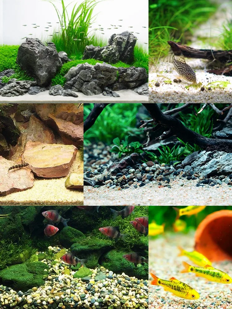 100g Nile Sand (0.5-1mm) Tiny Wash-free Sands Aquarium Landscaping Fish Tank Bottom Makeup Grass Tank Water Landscaping Decor